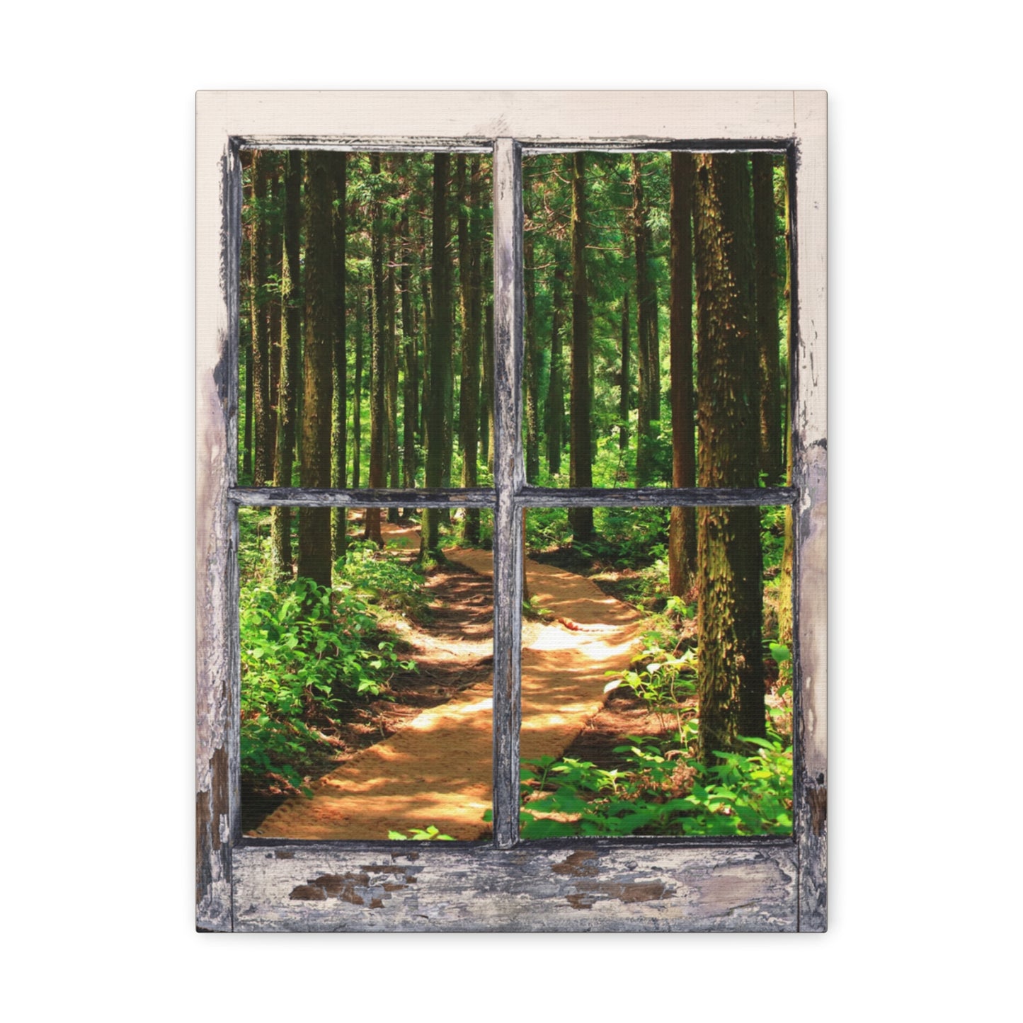 "Natures Window" Wall Art - Weave Got Gifts - Unique Gifts You Won’t Find Anywhere Else!