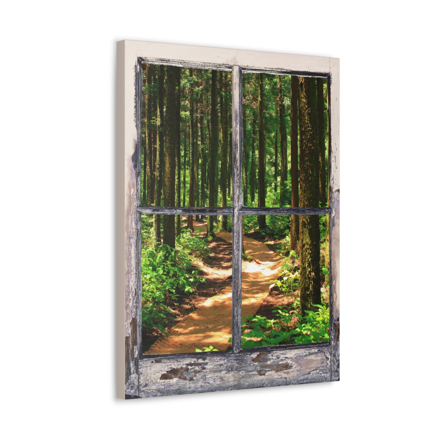 "Natures Window" Wall Art - Weave Got Gifts - Unique Gifts You Won’t Find Anywhere Else!