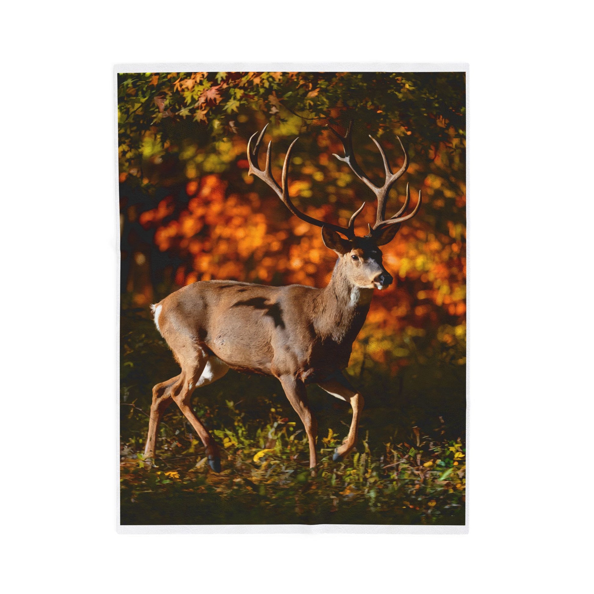 Best gifts for deer hunters – cozy and practical blanket
