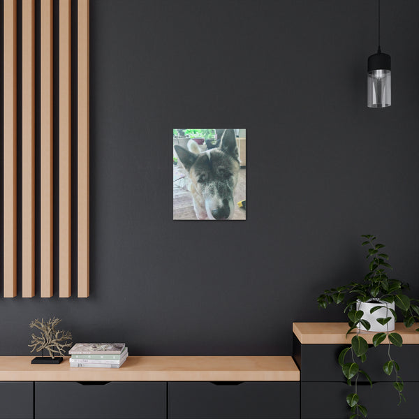 "Dog Photo" Custom Wall Art - Weave Got Gifts - Unique Gifts You Won’t Find Anywhere Else!