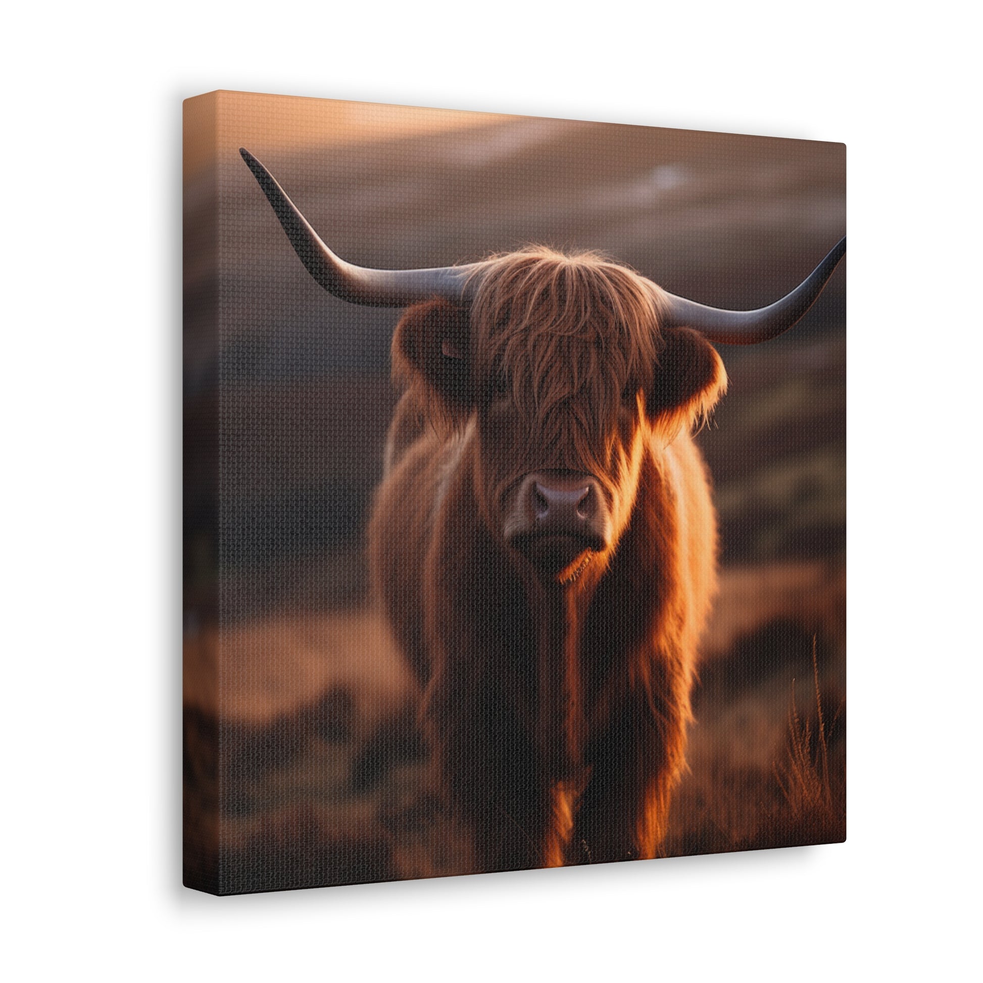 "Highland Cow Photo" Wall Art - Weave Got Gifts - Unique Gifts You Won’t Find Anywhere Else!