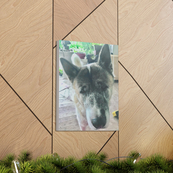 "Dog Photo" Custom Wall Art - Weave Got Gifts - Unique Gifts You Won’t Find Anywhere Else!