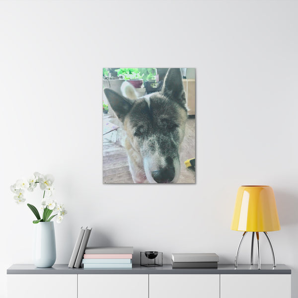 "Dog Photo" Custom Wall Art - Weave Got Gifts - Unique Gifts You Won’t Find Anywhere Else!