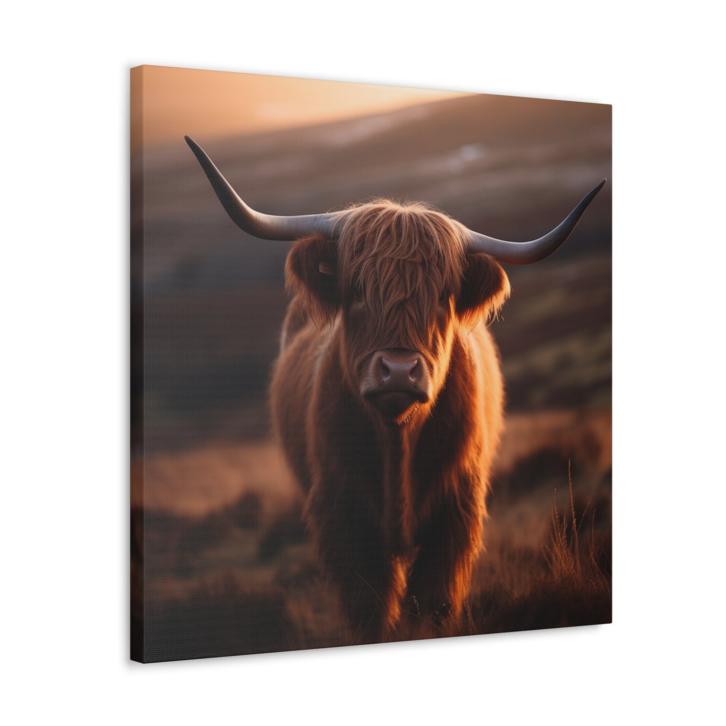 "Highland Cow Photo" Wall Art - Weave Got Gifts - Unique Gifts You Won’t Find Anywhere Else!