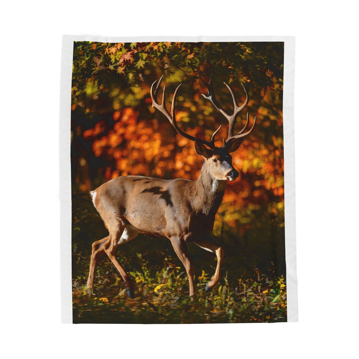 Deer Hunting Blanket