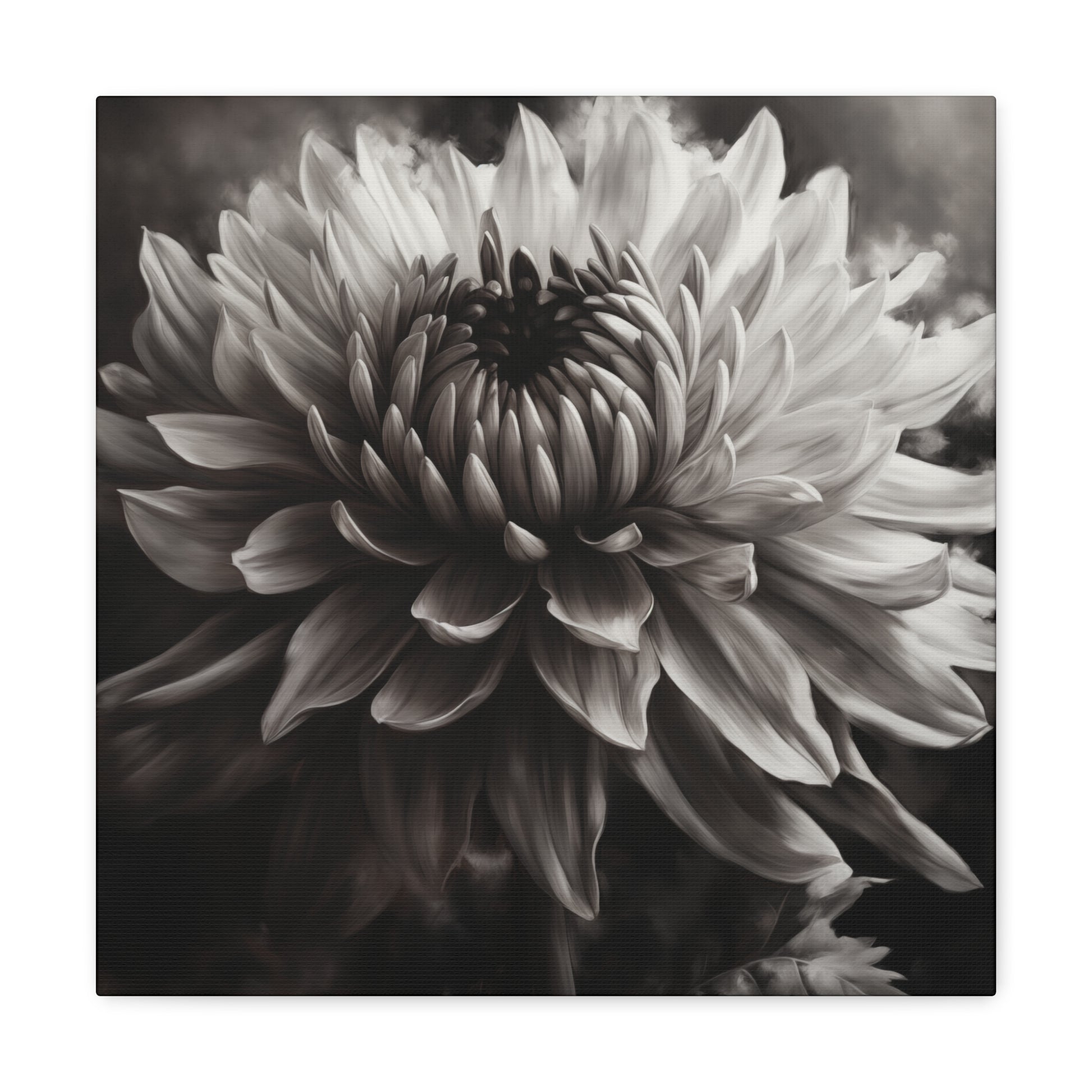 Floral Wall Art - White Flower Photography