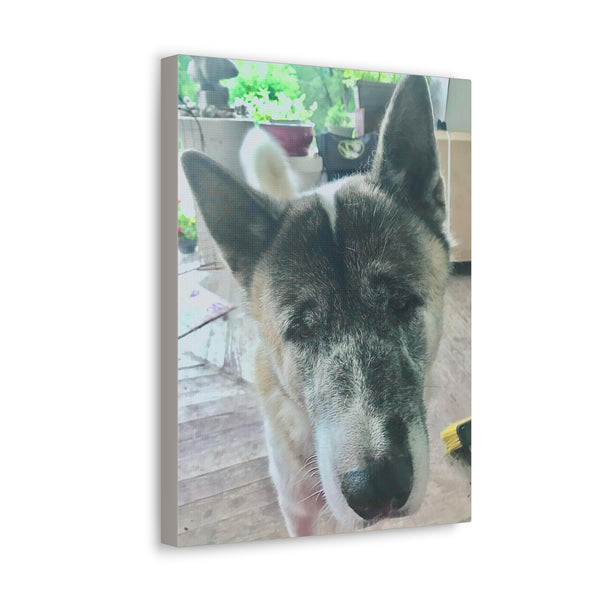 "Dog Photo" Custom Wall Art - Weave Got Gifts - Unique Gifts You Won’t Find Anywhere Else!