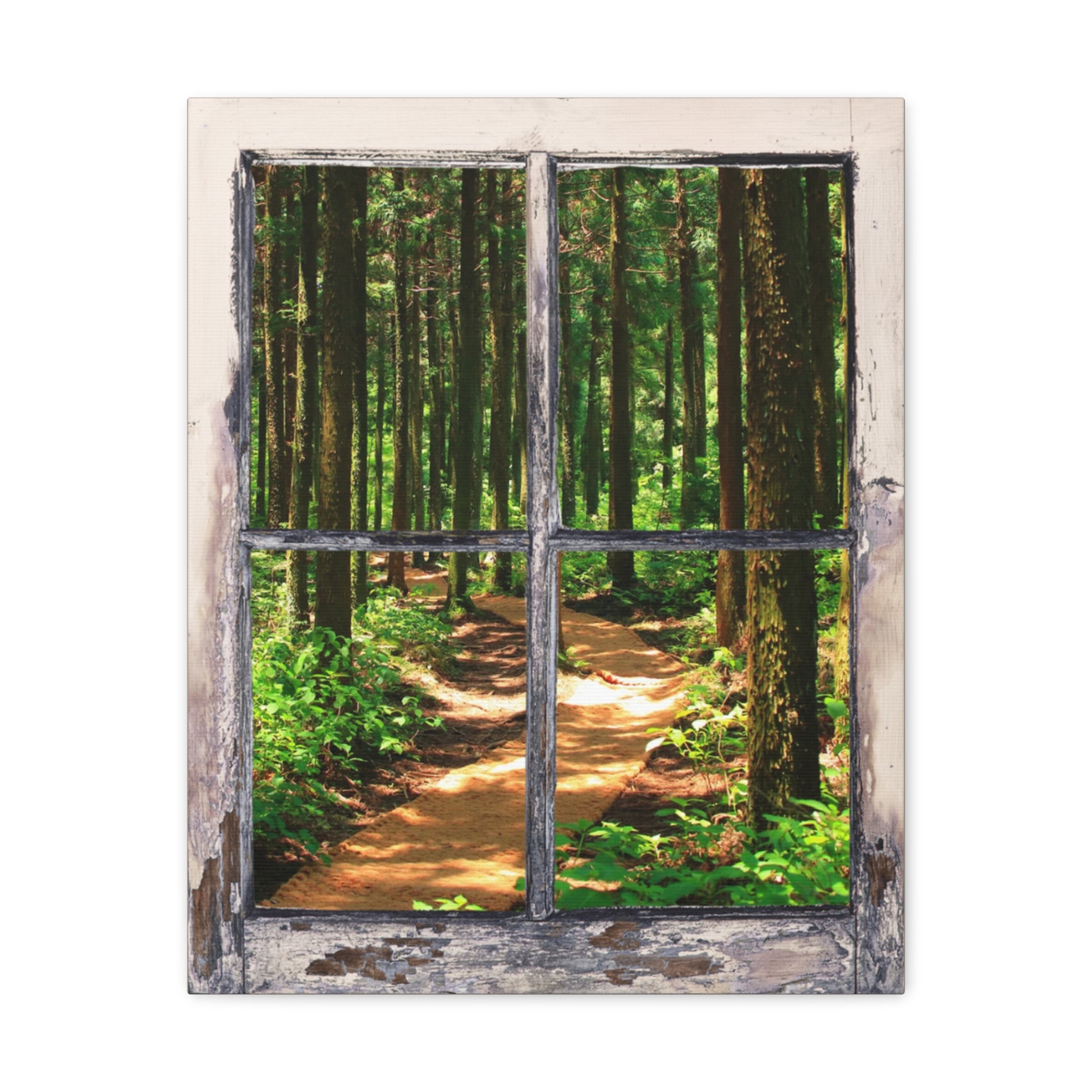 "Natures Window" Wall Art - Weave Got Gifts - Unique Gifts You Won’t Find Anywhere Else!