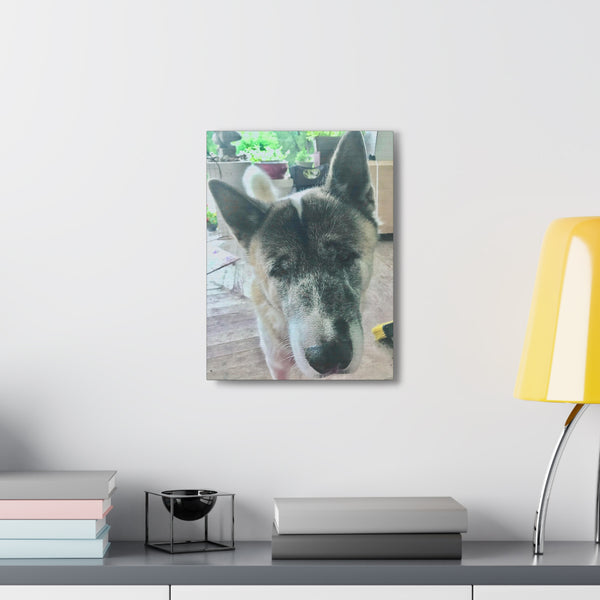 "Dog Photo" Custom Wall Art - Weave Got Gifts - Unique Gifts You Won’t Find Anywhere Else!