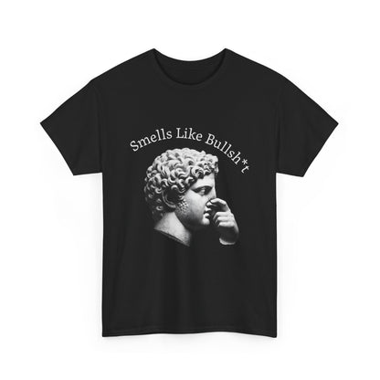 Funny BS shirt featuring ancient head statue and humorous text
