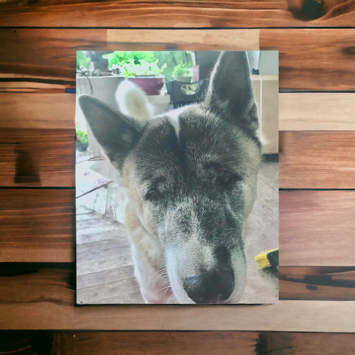 Custom Dog Photo Wall Art