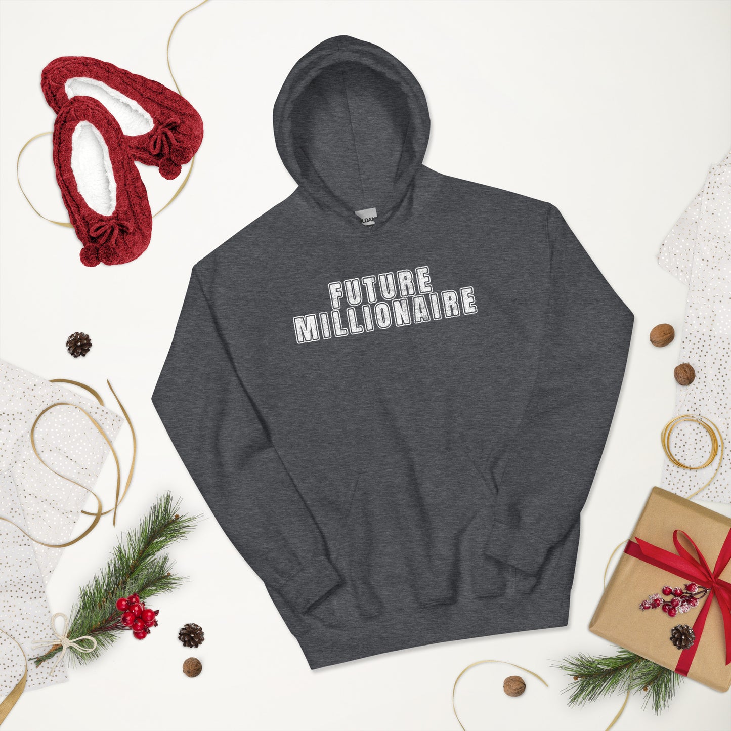 Hoodie with Future Millionaire quote for entrepreneurs
