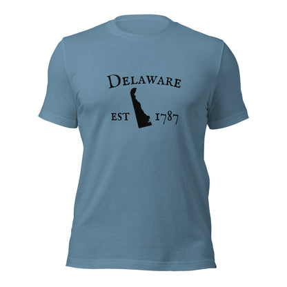 Durable Delaware pride t-shirt