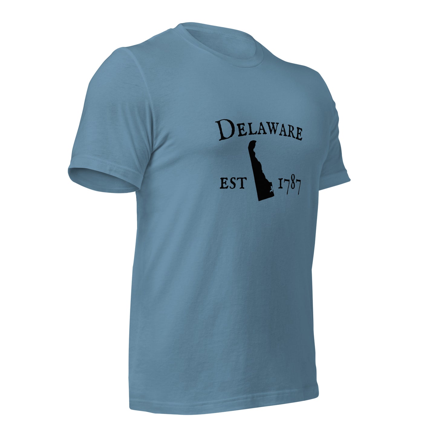 State pride Delaware shirt with est date